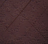 셀 배양 중인데 사진좀 봐주세요 | 소리마당 > 커뮤니티 | BRIC