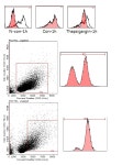 fluo-3를 이용한 intracellular calcium 측정 실험에 대해 질문드립니다. | 실험 Q&A > 커뮤니티 | BRIC