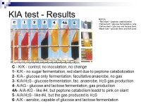 KIA 배지 세균배양결과 아시는 분 찾습니다. | 실험 Q&A > 커뮤니티 | BRIC
