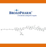 바이오마켓-연구용제품 게시판목록 | 연구용제품 > Bio마켓 | BRIC