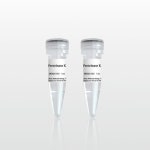 Proteinase K (20 mg/ml), 1ml | 연구용제품 > Bio마켓 | BRIC