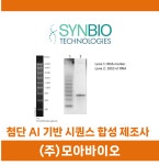 바이오마켓-연구용제품 게시판목록 | 연구용제품 > Bio마켓 | BRIC