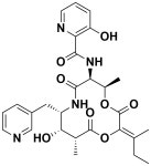 코아주식회사(주)세아FS | 바이오마켓-연구용제품 게시판목록 | 연구용제품 > Bio마켓 | BRIC