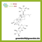 [ChemFaces] Notoginsenoside R1 (CFN99999) 노토진세노사이드 R1 80418-24-2 천연물 표준품 | 연구용제품 > Bio마켓 | BRIC
