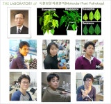황병국 교수 | 고려대학교 | BioLab > 브만사 | BRIC 황병국 교수  | 고려대학교  | BioL...