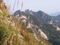 산에서 온 소식 | 소리마당 > 커뮤니티 | BRIC