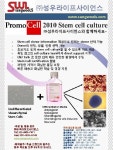 Neuron cell inducing media 출시(Promocell) | 연구용제품 > Bio마켓 | BRIC