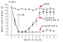 척수 손상 후 발생하는 만성적 신경병증 통증, 줄기세포를 이용한 치료가능성 발견 | 뉴스 > Bio뉴스 > 동향 | BRIC