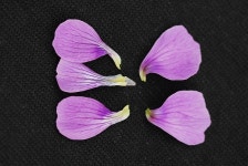 이미지보기