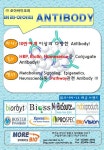 버라이어티 Antibody | 연구용제품 > Bio마켓 | BRIC