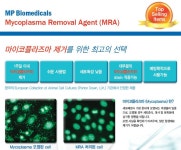 Mycoplasma Removal Reagent (MRA, 마이코플라즈마 제거) | 연구용제품 > Bio마켓 | BRIC