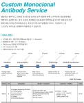 [AbClon] Monoclonal antibody development service | 연구용제품 > Bio마켓 | BRIC