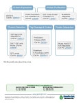 [GenScript] One Stop Solutions for GST-Tag | 연구용제품 > Bio마켓 | BRIC