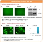 (주) 서린바이오사이언스 렌티바이러스 제작 서비스! 고객들의 생생한 후기! | 연구용제품 > Bio마켓 | BRIC