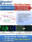 [Signagen한국독점대리점] In vitro DNA transfection | 연구용제품 > Bio마켓 | BRIC