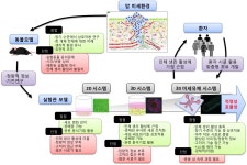 랩온어칩(Lab-on-a-chip) 기반 기술 동향 | Bio리포트 > 동향 | BRIC