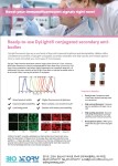 [abbkine]독점대리점 DyLight® conjugated 2nd antibody | 연구용제품 > Bio마켓 | BRIC