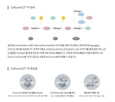 [비엠에스]간편하게 Cell viability를 측정하는 CellCountEZ™! | 연구용제품 > Bio마켓 | BRIC