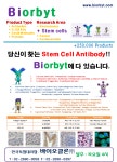 [Biorbyt 한국독점대리점] 당신이 찾는 Stem Cell Antibody > BRIC [Biorbyt 한국독점대리점] 당신이 찾는 Stem Cell Antibody