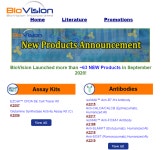 Monthly New Products > BRIC Monthly New Products