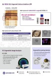 Organoids Culture 필수 WNR: 슬기로운 Organoids Culture 법 | 연구용제품 > Bio마켓 | BRIC
