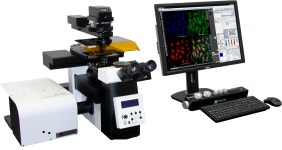 디지털 Confocal Microscope K1-Fluo | 연구용제품 > Bio마켓 | BRIC 디지털 Confocal Microscope  K1-Fluo | 연구용제품 > Bio마켓... 