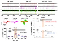 초소형 다기능 브레인칩, 뇌의 활동을 다각도로 분석 | 뉴스 > Bio뉴스 > 동향 | BRIC
