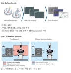 Culture-Insert활용 연구 | 연구용제품 > Bio마켓 | BRIC
