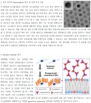 가톨릭대학교 의과대학 의생명과학교실 (BK21 plus, 4단계) | 대학원생 모집 > BioJob | BRIC