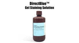 DirectBlue™ Gel Staining Solution 제품소개 | 연구용제품 > Bio마켓 | BRIC