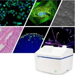 🔬에비던트* 에서 야심차게 준비한 2가지 현미경을 소개드립니다. (온라인 설명 비디오포함) | 행사 > Bio일정 | BRIC