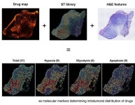 박정빈 (서울대학교 융합과학기술대학원) | 한빛사 인터뷰 > 한빛사 | BRIC 박정빈 (서울대학교 융합과학기술대학원) | 한빛사 인터뷰 > 한빛사