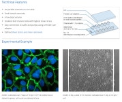 고해상도 현미경 관찰 Channel slide | 연구용제품 > Bio마켓 | BRIC
