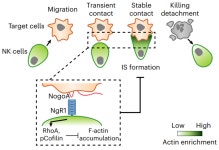 오세찬 (한국생명공학연구원(KRIBB), 과학기술연합대학원대학교(UST)) | 한빛사 인터뷰 > 한빛사 | BRIC 오세찬 (한국생명공학연구원(KRIBB)... 