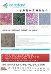 kerafast - Astrocyte LKB1 Knock Out Cell Line (ALKO) > BRIC kerafast - Astrocyte LKB1 Knock Out Cell Line (ALKO)