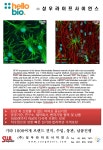 hello bio | 연구용제품 > Bio마켓 | BRIC