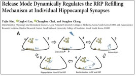 장성호 교수 | 서울대학교 | BioLab > 브만사 | BRIC 장성호 교수  | 서울대학교  | BioL...