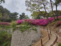 자유게시판 - 이천시청