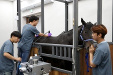 이천시 말전문 동물병원 | 시설현황 | 이천시 농업기술센터 | 농업/축산 | 이천시청 홈페이지 이천시 - 새로운 이천 함께여는 미래
