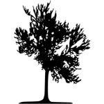 Black tree 23 icon - Free black tree icons