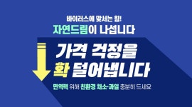 치유와 힐링의 자연드림 치유와 힐링의 자연드림 이야기