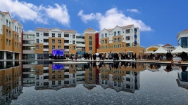 치유와 힐링의 자연드림 치유와 힐링의 자연드림 이야기