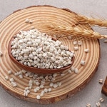 치유와 힐링의 자연드림