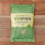 치유와 힐링의 자연드림