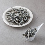 치유와 힐링의 자연드림