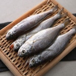 치유와 힐링의 자연드림