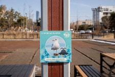 | 인천광역시의회 