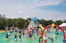 의회저널 119호 | 인천시의회 웹진