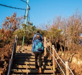 인천애의회136호 | 인천시의회 웹진