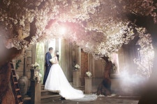 이용후기 > 국제커플의 결혼준비!  > 아이웨딩 > 아이패밀리SC